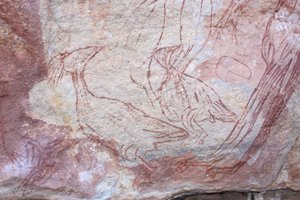Gallina de matorral de Unbekannt Unbekannt